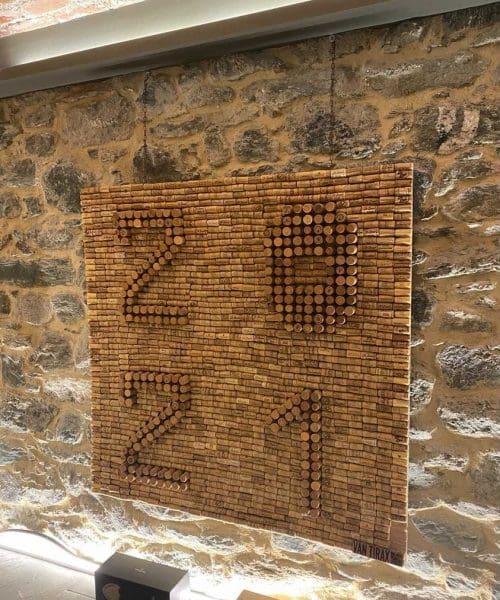 261413067_1113398646104661_803566036550558325_n_258699082815580